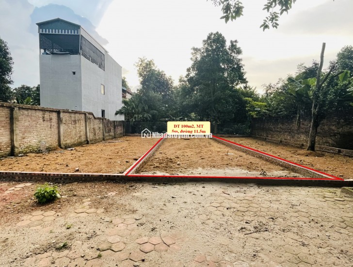 CHÍNH CHỦ CẮT LỖ 300TR BÁN NHANH 2 LÔ MẶT ĐƯỜNG PHÚ CÁT, CÁCH ĐẠI HỌC QUỐC GIA 1KM.